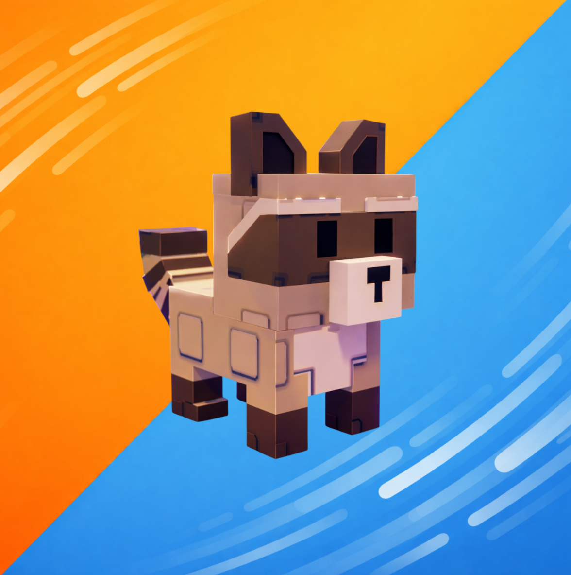 Raccoon
